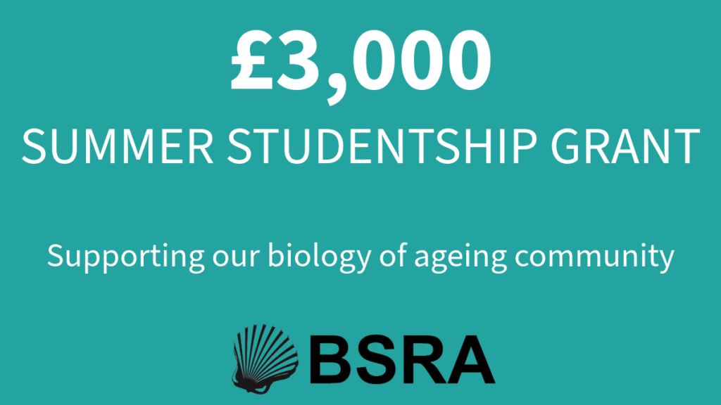 Image card that reads "£3,000 Summer studentship. Supporting the biology of ageing community". the card also has a BSRA logo on it